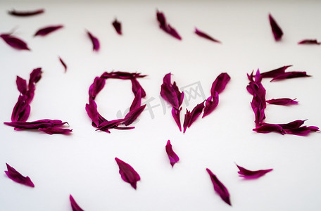 题字“爱”与白色背景上的红牡丹花瓣。