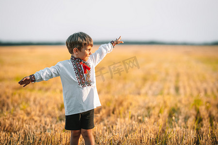 快乐的小男孩 — 乌克兰爱国儿童在收集小麦后，张开双臂作为飞机在田野里，空地。