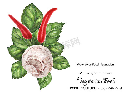 罗勒、胡椒和蘑菇的水彩小插图