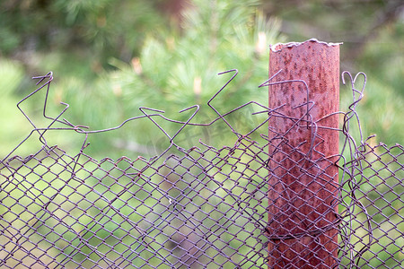 花园里的网状旧破烂笼子和一根生锈的杆子，以绿草为背景。