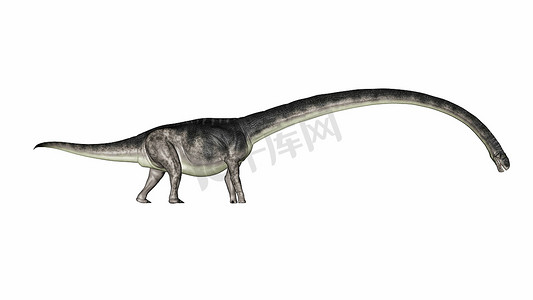 Omeisaurus 恐龙长颈向下行走 — 3D 渲染