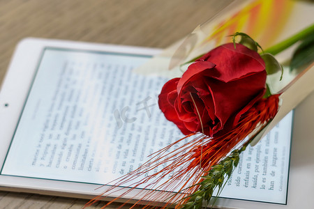 红玫瑰和电子书庆祝圣乔治日，4 月 23 日