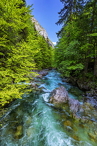 来自斯洛文尼亚阿尔卑斯山博希尼湖附近萨瓦河萨维卡瀑布的冷山溪。
