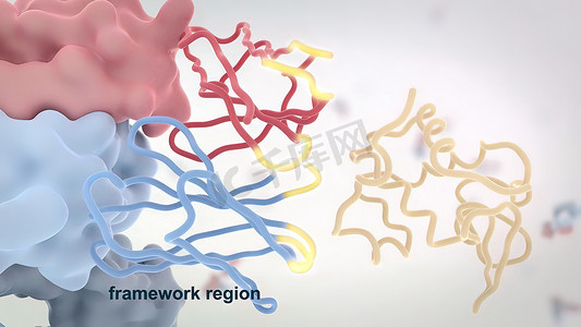 药物分子摄影照片_典型抗体分子的结构。抗体和氨基酸