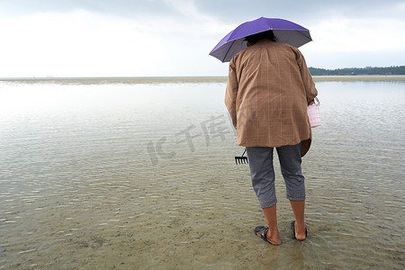 保护海洋日摄影照片_2022年3月15日，泰国帕岸岛：打着雨伞采蛤蜊的女人