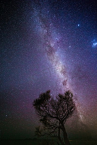 行星剪影摄影照片_天空布满星星银河，孤树剪影