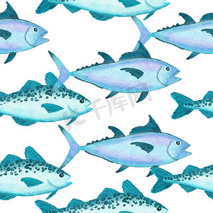水彩手绘无缝图案与水下海洋航海动物贝壳鱼。