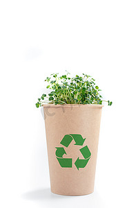 白色背景绿化生态杯、环境生态、无塑料可持续生活
