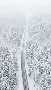 深冬风暴中穿过雪覆盖的白色森林的道路