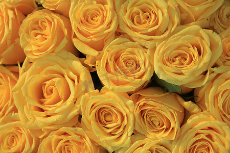 婚礼花卉布置中的黄玫瑰