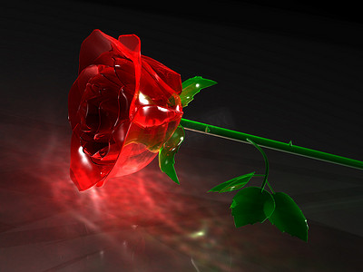 玫瑰渲染摄影照片_玫瑰