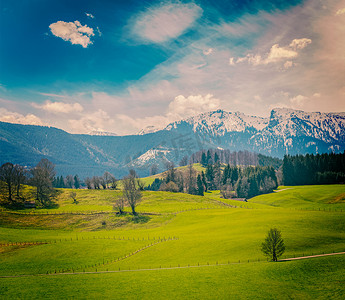 德国田园诗般的田园乡村在春天与阿尔卑斯山在背景