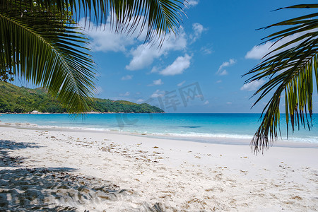 奥斯卡情侣摄影照片_普拉兰塞舌尔热带岛屿，拥有海滩和棕榈树，安斯拉齐奥海滩，棕榈树矗立在塞舌尔安斯拉齐奥荒芜的热带岛屿梦想海滩上