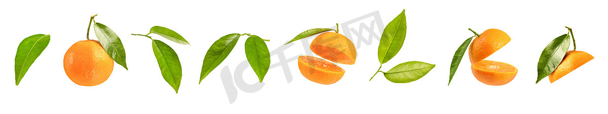 大套橘子部分，不同的橘子片隔离在白色背景上。