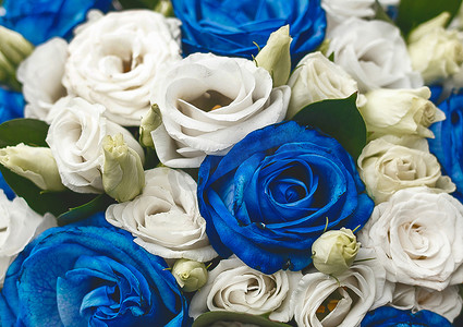 装饰婚礼花束蓝色和白色玫瑰纹理背景，特写