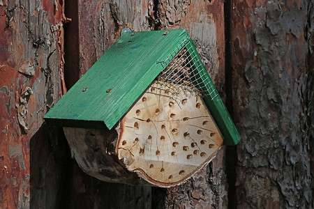 树上昆虫木屋的特写。