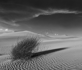 印度拉贾斯坦邦塔尔沙漠的沙丘