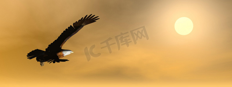 日落时的鹰 — 3D 渲染