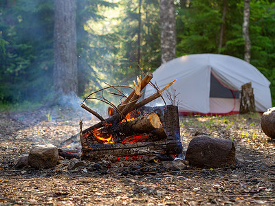 日落时，燃烧的篝火，背景是露营帐篷，在森林深处。