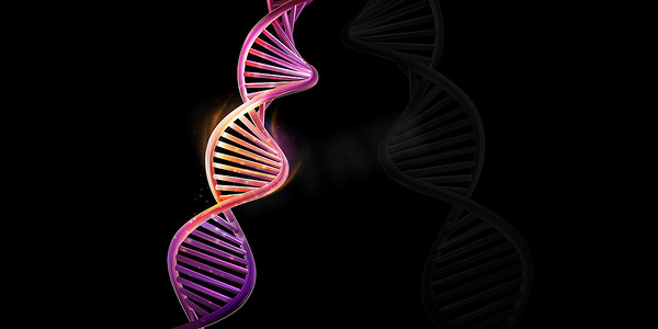 细胞分子摄影照片_黑色背景上的 DNA 双螺旋模型。