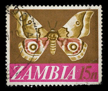 赞比亚蝴蝶邮票