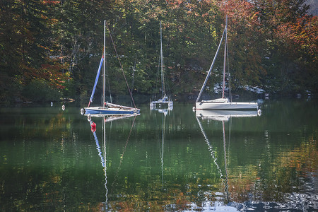 起源摄影照片_斯洛文尼亚秋季森林中博希尼湖上的三艘游艇