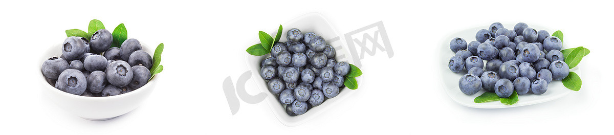 白色背景下蓝莓的集合
