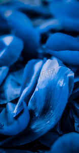 抽象花卉假日艺术背景、梦想花园中的蓝色盛开花瓣以及豪华水疗品牌和婚礼邀请设计的自然之美