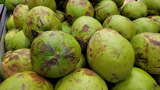 巴西内陆市场出售椰子的图片