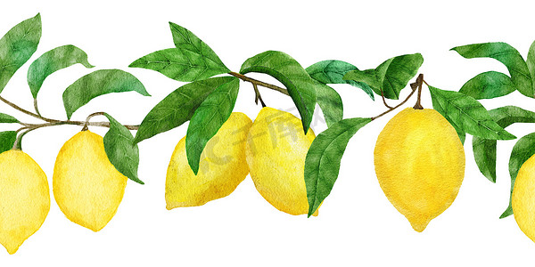 柠檬边框摄影照片_手绘水彩无缝边框与黄色柑橘柠檬。