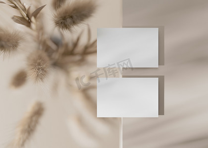 浅棕色背景上的空白白色名片与干植物。