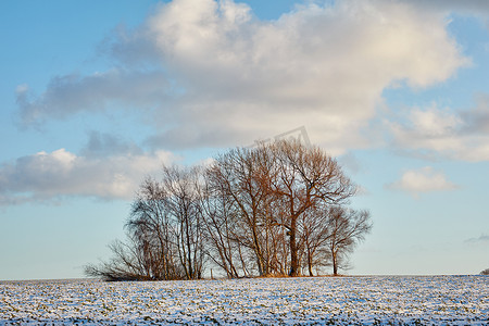 冬天的农田-丹麦。
