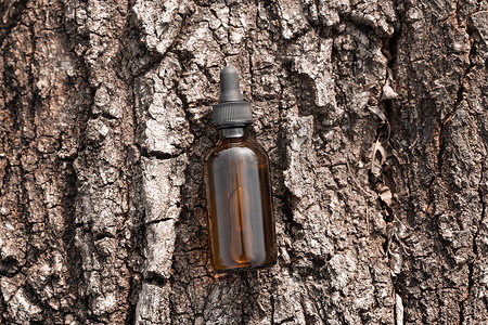 树皮顶视图琥珀色玻璃化妆品瓶中的血清油。