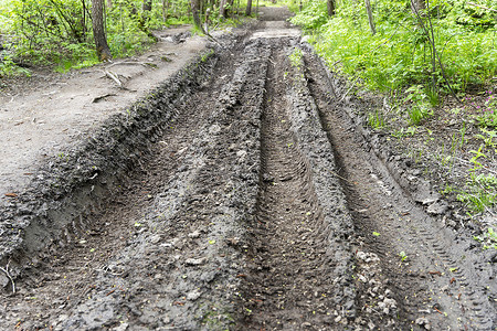 无法通行的森林道路，雨后泥泞，有卡车轮胎的痕迹