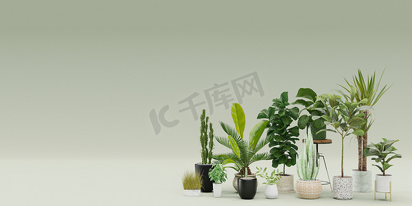 横幅与家庭植物和复制空间为您的广告文本或徽标。