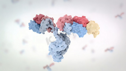 淀粉分子摄影照片_典型抗体分子的结构。抗体和氨基酸