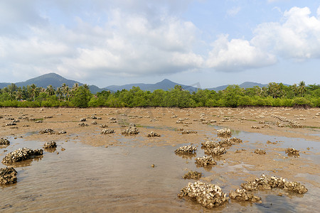 2022岩石摄影照片_2022年3月15日，泰国帕岸岛：蛤片岩层