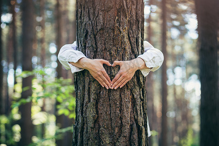 一位年轻女子的手拥抱森林里的一棵树，表现出内心和对自然的热爱