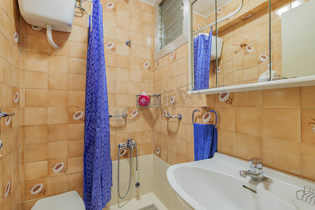 老式的小浴室配有淋浴、厕所和水槽。