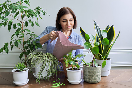 照顾盆栽植物、用喷壶浇水的妇女