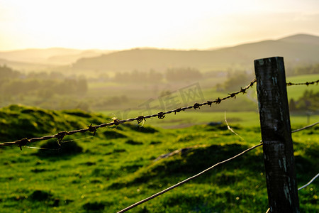 刺边框刺摄影照片_滚动的苏格兰风景，前景有栅栏
