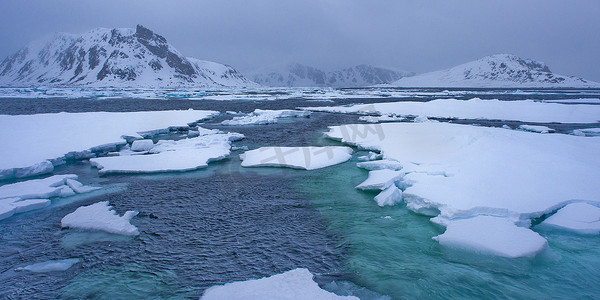 漂流浮冰和雪山，阿尔伯特一世地，北极