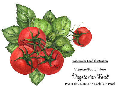 罗勒和番茄的水彩纯素小插图