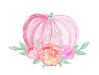 水彩柔和的粉红色南瓜，叶子和花朵装饰隔离在白色背景。