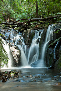 奥顿摄影照片_丹德农山脉，奥林达瀑布，澳大利亚墨尔本附近