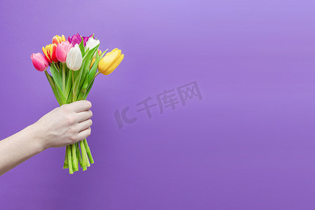紫色背景下男人手中的一束鲜花。