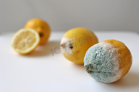 发霉摄影照片_两个不同程度腐败的发霉柠檬。