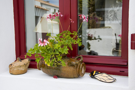 法国普罗旺斯的窗户上装饰着天竺葵花