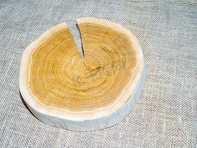 木桩、横截面、带裂缝的树干切割部分。