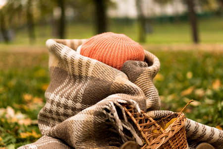 戴着橙色贝雷帽的可爱学龄前小女婴，头裹着格子花呢，篮子上的黄色落叶，躲在秋天公园的寒冷天气里。